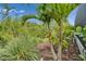 Tropical landscaping accents the house at 3603 Woodmont Dr, Parrish, FL 34219