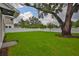 Expansive backyard with lush lawn, privacy fence, and mature shade trees at 3616 W Platt St, Tampa, FL 33609