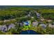 Aerial view of property showing proximity to pond and neighborhood with mature trees at 4690 Wrentham Pl, Palm Harbor, FL 34685
