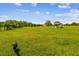 Expansive green field with scattered trees and distant structures under a blue sky at 7627 Artifact Dr, Zephyrhills, FL 33541
