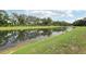 A scenic pond surrounded by lush greenery, creating a tranquil view at 10736 Whitland Grove Dr, Riverview, FL 33578