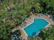 Aerial view of a pool surrounded by mature trees and plenty of seating at 2953 Yucca Ct, Palm Harbor, FL 34684