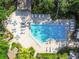 Aerial view of a large pool with seating and shade, in a lush environment at 2953 Yucca Ct, Palm Harbor, FL 34684