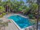 Exterior view of a well-maintained community pool with ample seating and lush landscaping at 2953 Yucca Ct, Palm Harbor, FL 34684