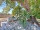 Backyard patio with stone pavers, mature trees, lush tropical landscaping, and a built-in grill at 5806 Liverpool Dr, Tampa, FL 33615