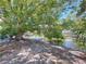 Scenic waterfront with trees shading the sandy shoreline and a glimpse of neighborhood homes at 5806 Liverpool Dr, Tampa, FL 33615