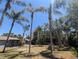Spacious backyard featuring mature palm trees, perfect for outdoor activities and relaxation at 627 Riverside Dr, Tarpon Springs, FL 34689