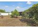 Backyard with small tree and view of enclosed sunroom attached to home at 8330 Moulton Dr, Port Richey, FL 34668