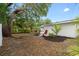 Spacious backyard with a large tree, grass and tropical landscaping at 1443 Paloma Ln, Dunedin, FL 34698
