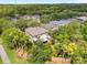 This aerial view shows the house and surrounding neighborhood in a wooded area at 19101 Marisa Ridge Pl, Tampa, FL 33647