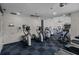 Well-equipped fitness center featuring modern exercise machines and a blue and black patterned floor at 19101 Marisa Ridge Pl, Tampa, FL 33647