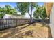 Fenced backyard with mature tree offering shade at 1913 Peppertree Dr, Oldsmar, FL 34677