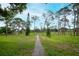 Walking path through the neighborhood park with lush greenery and tall trees for shade at 3177 Montrose Pl, Palm Harbor, FL 34684