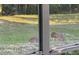 Screened porch view of a deer grazing in the backyard at 4012 Woodacre Ln, Tampa, FL 33624