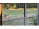 Backyard view of deer grazing in the grassy yard through the window at 4012 Woodacre Ln, Tampa, FL 33624