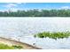 Picturesque lake scenery with various birds enjoying the shoreline at 4302 Longfellow Dr, Plant City, FL 33566