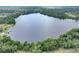 Scenic view of a calm lake surrounded by lush greenery and trees at 4302 Longfellow Dr, Plant City, FL 33566