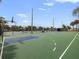 Outdoor basketball court with well-maintained green surface, hoops, and palm trees around the fenced perimeter at 5191 Salmon Se Dr # C, St Petersburg, FL 33705