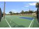 Outdoor basketball court with well-maintained green surface, hoops, and palm trees around the fenced perimeter at 5191 Salmon Se Dr # C, St Petersburg, FL 33705