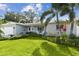Inviting single-story home with a green lawn, palm trees, and a cheerful, landscaped front yard at 5235 42Nd S St, St Petersburg, FL 33711