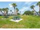 Outdoor picnic area with green picnic tables surrounded by tropical trees and community buildings at 5356 81St N St # 26, St Petersburg, FL 33709