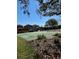 Community basketball court, trees, and landscaping at 6325 Yellow Buckeye Dr, Riverview, FL 33578