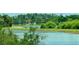 Scenic water view homesite with lush green trees and blue water offering serene and tranquil living at 6325 Yellow Buckeye Dr, Riverview, FL 33578