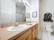 Bathroom featuring a double sink vanity with ample storage, a large mirror and decorative wall art and greenery at 10309 Marchmont Ct, Tampa, FL 33626