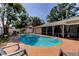 Inviting backyard pool area with a covered patio, featuring a clean pool, comfortable seating, and meticulously maintained surroundings at 1041 Persimmon Dr, Palm Harbor, FL 34683
