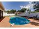 Backyard pool featuring a well-maintained pool area with a surrounding patio, enhanced by lush greenery and a secure privacy fence at 1041 Persimmon Dr, Palm Harbor, FL 34683