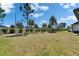 Expansive backyard featuring lush green grass, tidy shrubbery, and some young, vibrant trees at 11707 Sunburst Marble Rd, Riverview, FL 33579