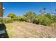 Spacious backyard area with mature trees and landscaping; perfect for outdoor activities and relaxation at 14921 Crown Dr, Largo, FL 33774