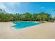 Community pool surrounded by palm trees and lush greenery, providing a refreshing oasis for residents to enjoy at 16516 Bridgewalk Dr, Lithia, FL 33547