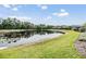 Backyard pond with grassy areas and mature trees around it at 19837 Lonesome Pine Dr, Land O Lakes, FL 34638