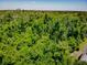 Aerial view shows a lush, densely wooded area, providing privacy and natural beauty at 2604 Clareside Dr, Valrico, FL 33596