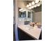 Bathroom featuring a vanity sink, offering a functional and well-lit space for personal grooming at 2604 Clareside Dr, Valrico, FL 33596
