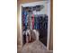 A well-organized closet featuring shelving, hanging space, and carpeted floor at 2604 Clareside Dr, Valrico, FL 33596
