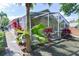 Screened patio surrounded by greenery and landscaping at 2604 Clareside Dr, Valrico, FL 33596
