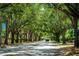 Tree-lined street in Bloomingdale with banners, creating a picturesque and welcoming atmosphere at 2604 Clareside Dr, Valrico, FL 33596