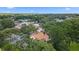 Aerial view showcasing the community with mature trees and well-spaced homes on a sunny day at 3001 Folklore Dr, Valrico, FL 33596