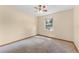 A simple bedroom featuring plush carpeting, neutral paint, natural light, and wood trim at 3001 Folklore Dr, Valrico, FL 33596