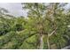 Landscaped backyard featuring mature trees, a water feature, and a sidewalk at 3062 Eastland Blvd # 402, Clearwater, FL 33761