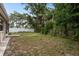 Expansive backyard bordered by mature trees and a privacy fence, creating a serene outdoor space at 3601 Grayton Dr, New Port Richey, FL 34652
