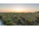 A serene beach at sunset with tall grass and buildings in the distance offer stunning coastal views at 396 Avenida Madera, Sarasota, FL 34242