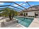 A stunning pool area with lush palm trees, travertine tile, and a screened enclosure for year-round enjoyment at 5043 Night Star Trl, Odessa, FL 33556