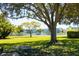 Scenic view of a pond with a fountain, surrounded by lush greenery and mature trees, creating a peaceful atmosphere at 6015 19Th N St # 301, St Petersburg, FL 33714