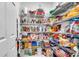 Walk-in pantry with wire shelving, providing ample storage for food and household items at 6653 Mineral Springs Rd, New Port Richey, FL 34653