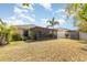 Well-maintained backyard with green grass, palm trees, and a screened lanai perfect for outdoor living at 10036 Crested Fringe Dr, Riverview, FL 33578