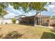 Spacious backyard with a screened lanai, lush landscaping, and an air conditioning unit visible at 10036 Crested Fringe Dr, Riverview, FL 33578