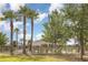 View of the community pool showcasing palm trees and a black metal fence around the entire pool area at 10036 Crested Fringe Dr, Riverview, FL 33578
